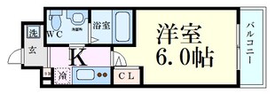 コンフォリア扇町の物件間取画像